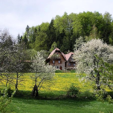Апартаменты Konaci Zaovljanska Jezera Zaovine Экстерьер фото