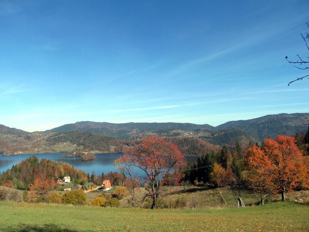 Апартаменты Konaci Zaovljanska Jezera Zaovine Экстерьер фото