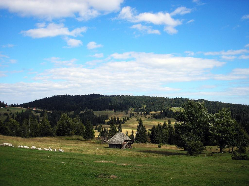 Апартаменты Konaci Zaovljanska Jezera Zaovine Экстерьер фото