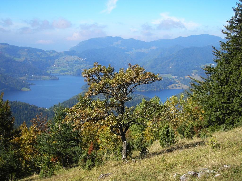 Апартаменты Konaci Zaovljanska Jezera Zaovine Экстерьер фото